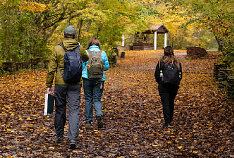 Иди и умней: чем больше человек ходит, тем лучше работает его мозг