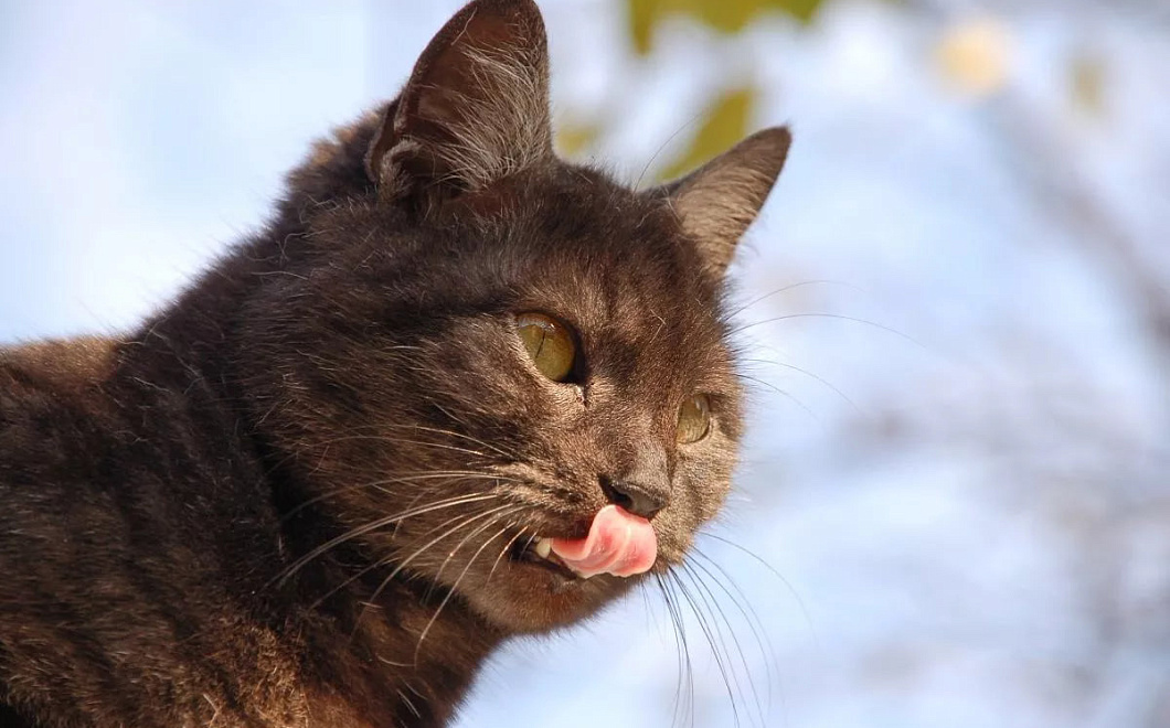 Экстремальное потепление пришло в Краснодарский край до субботы