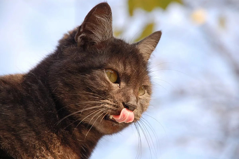 Экстремальное потепление пришло в Краснодарский край до субботы