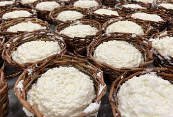 Фестиваль сыра проведут в Адыгее после двухлетнего перерыва