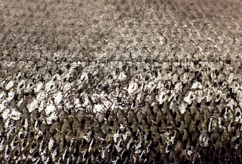 Ученые СО РАН создали износостойкие материалы на основе меди для токоприемников транспорта