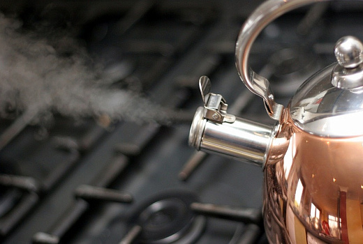 Как вернуть чайнику первозданную чистоту в домашних условиях