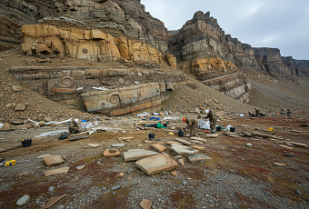 Арктические окаменелости показали быстрое восстановление океана после массового вымирания