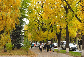 Каждый седьмой родитель в Краснодаре возьмет отпуск на осенние каникулы