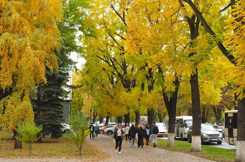 Каждый седьмой родитель в Краснодаре возьмет отпуск на осенние каникулы