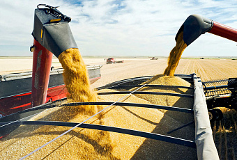 Миру грозит голод. Китай уже запасается зерном