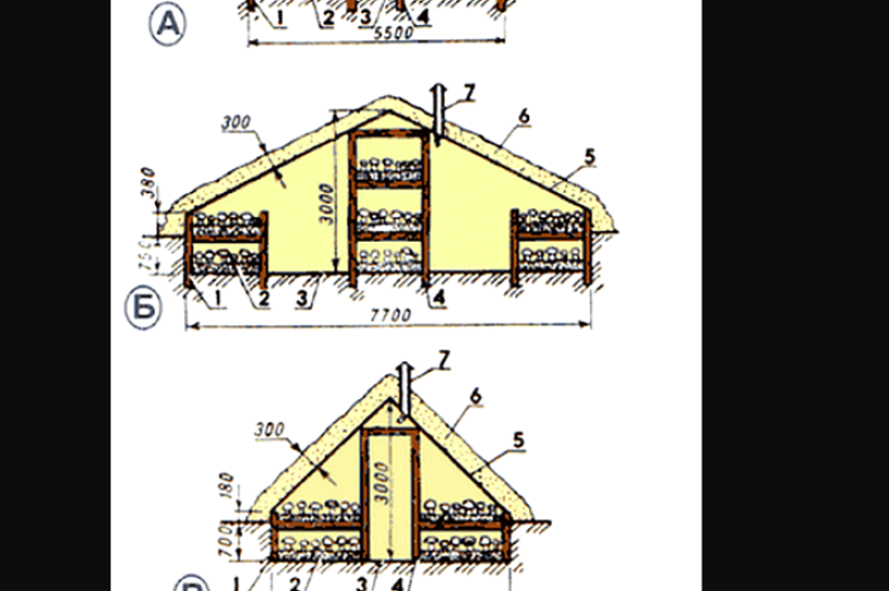 Как выращивать вешенки и шампиньоны в теплицах