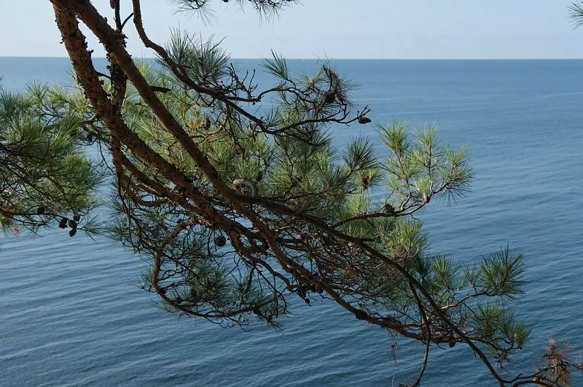 На каких курортах Краснодарского края Черное море остается теплым
