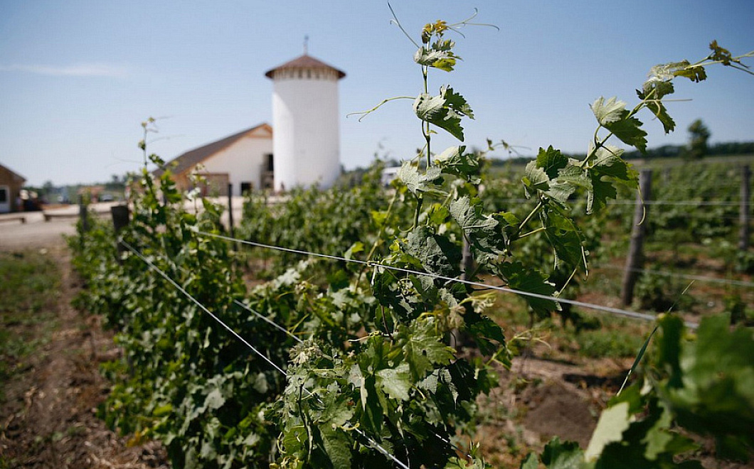 Вениамин Кондратьев: «С начала года объекты сельского туризма на Кубани посетило более 330 тысяч человек»