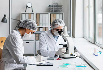 Российские учёные создали «слоёный» наноматериал для точечного уничтожения опухолей