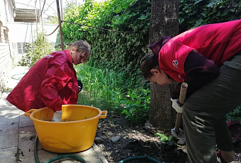 От Кубани до Камчатки: «Молодёжка ОНФ» помогает пожилым людям