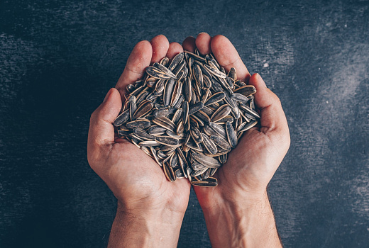 Щит для сердца: продукты для крепких сосудов и здорового сердца