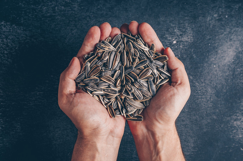 Щит для сердца: продукты для крепких сосудов и здорового сердца