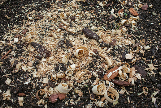 Какие опилки вредны для мульчирования и могут испортить почву в саду