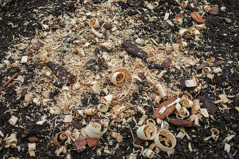 Какие опилки вредны для мульчирования и могут испортить почву в саду