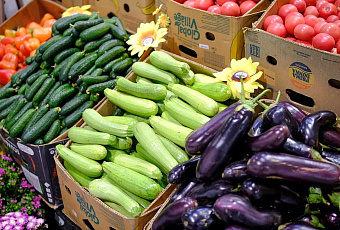 Жители Краснодарского края признали свое питание одним из самых сбалансированных в России