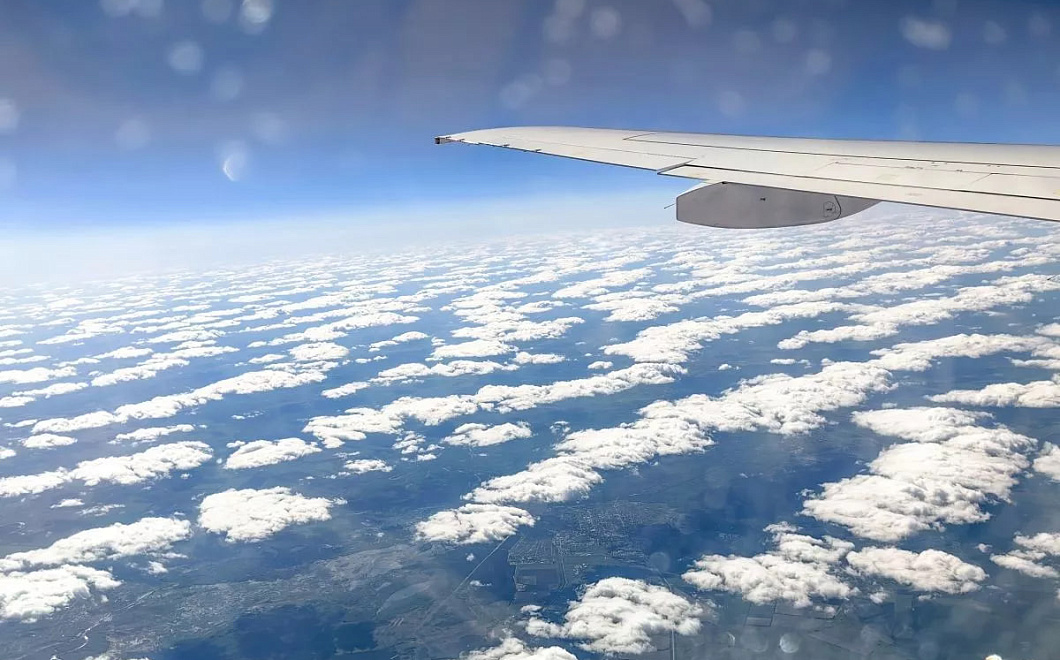 Авиакомпанию «Сибирь» оштрафовали за овербукинг рейса Новосибирск – Сочи