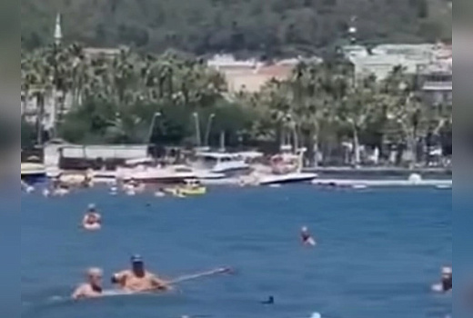 Челюсти Черного моря: в Турции туристы прогнали шваброй похожую на акулу рыбу