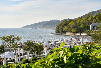 Более 3,7 млн отдыхающих принял Сочи с начала года