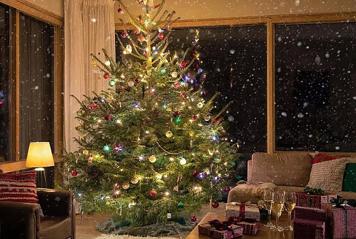 Как украсить елку для привлечения удачи в год Огненной Лошади