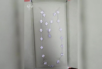 Таможенники изъяли украшения Van Cleef & Arpels на 3 млн рублей в Сочи