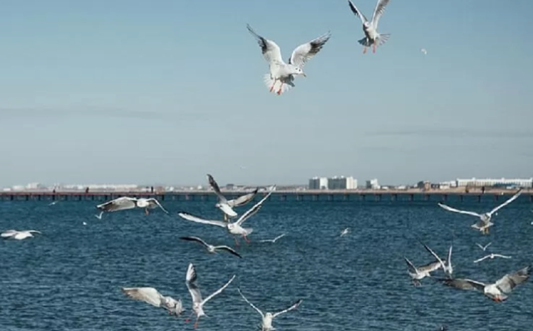 До +19 градусов прогрелось Черное море у берегов Кубани