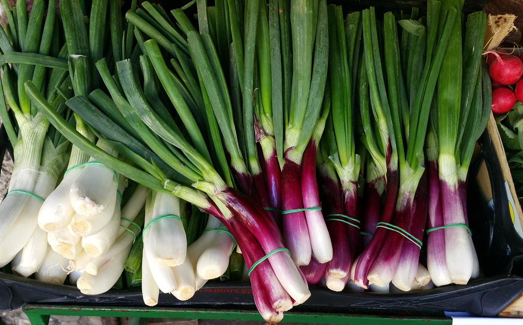 Не выбрасывайте овощные и фруктовые отходы и обрезки