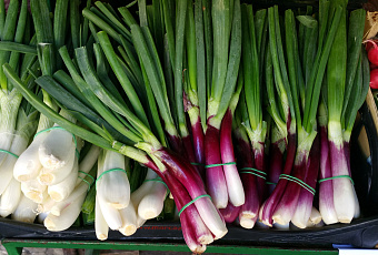 Не выбрасывайте овощные и фруктовые отходы и обрезки