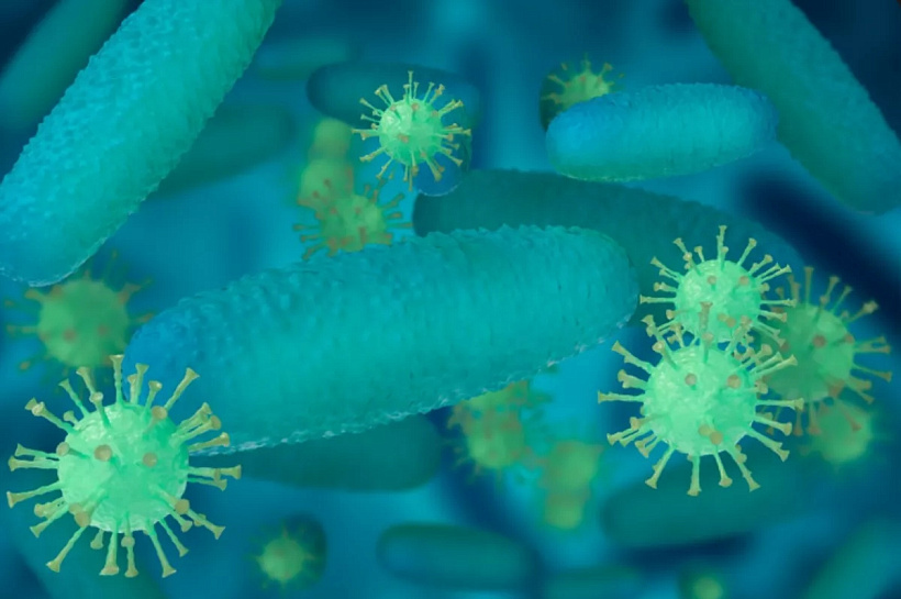 Ученые призвали отказаться от бактерицидного мыла ради спасения от супербактерий