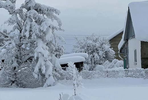 Зумеры из Краснодара скупают квартиры в Воркуте, Мурманске и Новом Уренгое