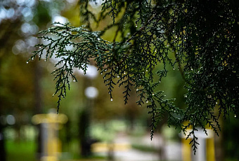 Мощные дожди и грозы обрушатся на Кубань после аномального потепления