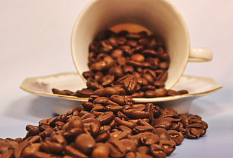 Без пятен на репутации: проверенные способы спасения одежды, мебели и ковров от пролитого кофе