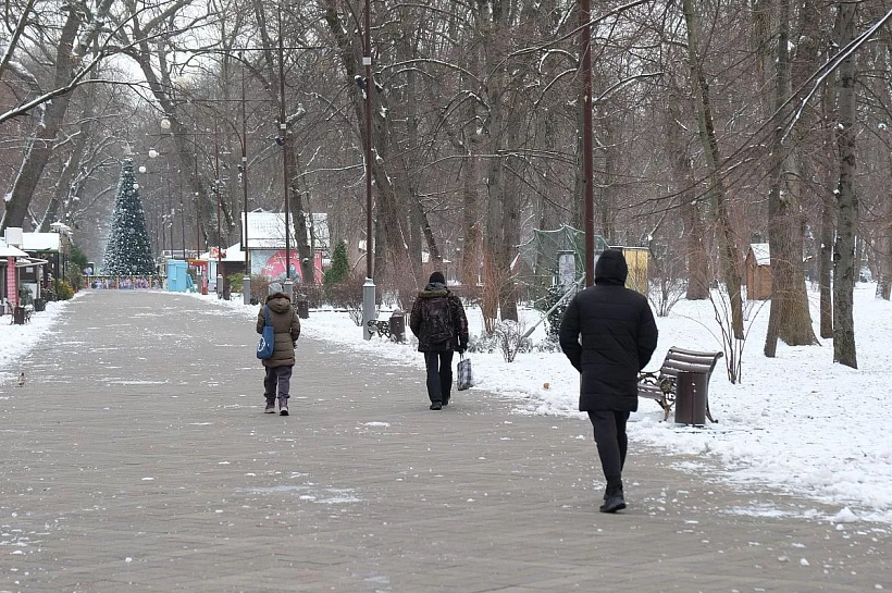39% соискателей в Краснодаре не готовы идти на уступки по зарплате