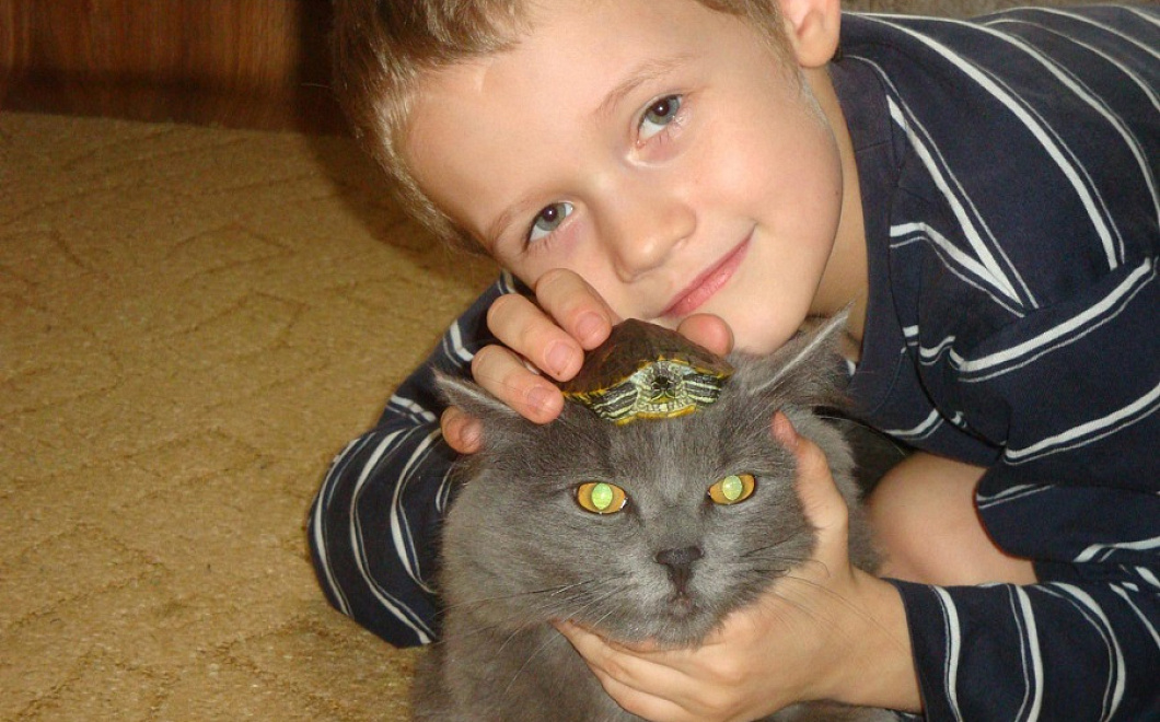 Кто в доме хозяин: почему коты не любят детей