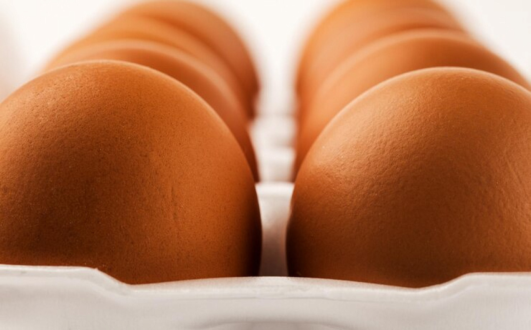 Что расскажут цифры и буквы на упаковке куриных яиц