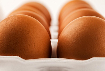 Что расскажут цифры и буквы на упаковке куриных яиц