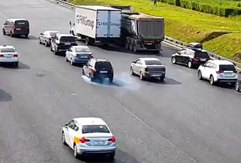 Утка с утятами стала причиной массовой аварии на МКАД