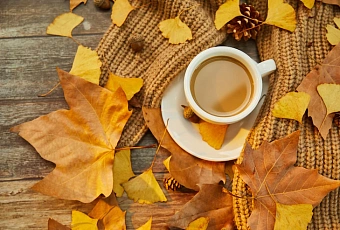 Эксперт рассказала о продуктах, которые лучше добавить в черный список в осенне-зимний период