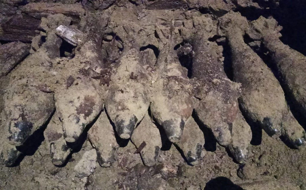 На Кубани росгвардейцы уничтожили 30 боеприпасов времен Великой Отечественной