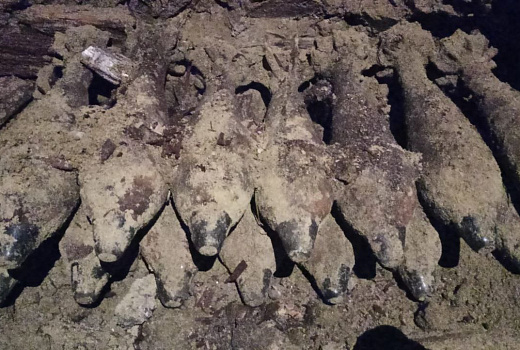 На Кубани росгвардейцы уничтожили 30 боеприпасов времен Великой Отечественной