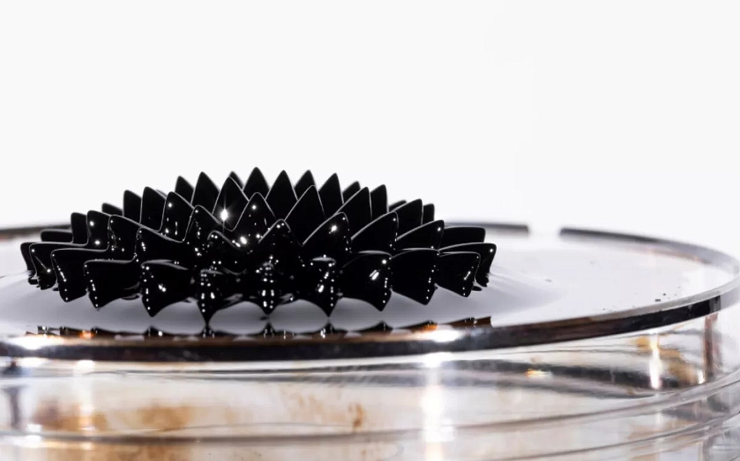 Российские учёные создали алгоритм для моделирования магнитных материалов на кудитах