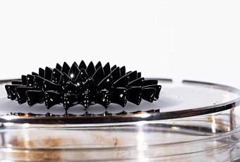 Российские учёные создали алгоритм для моделирования магнитных материалов на кудитах