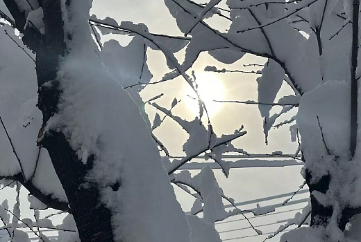 Морозные рекорды побиты в Удмуртии и Башкирии 10 марта на фоне +19 на Кубани