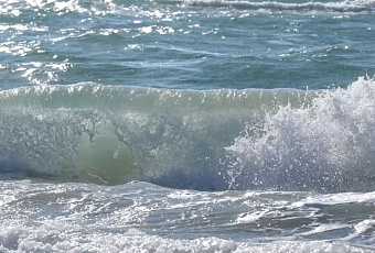 Ученые ВНИРО зафиксировали аномальное похолодание Черного моря летом