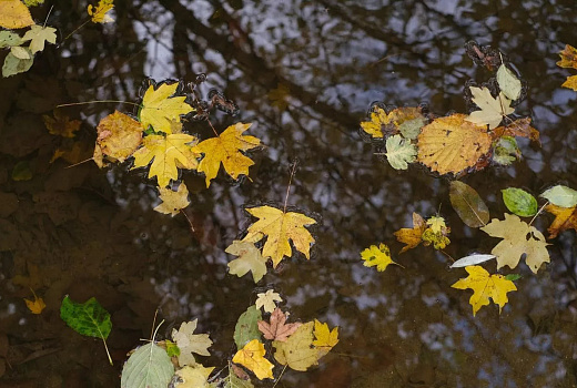 На Кубань обрушится аномальное похолодание в последний день сентября