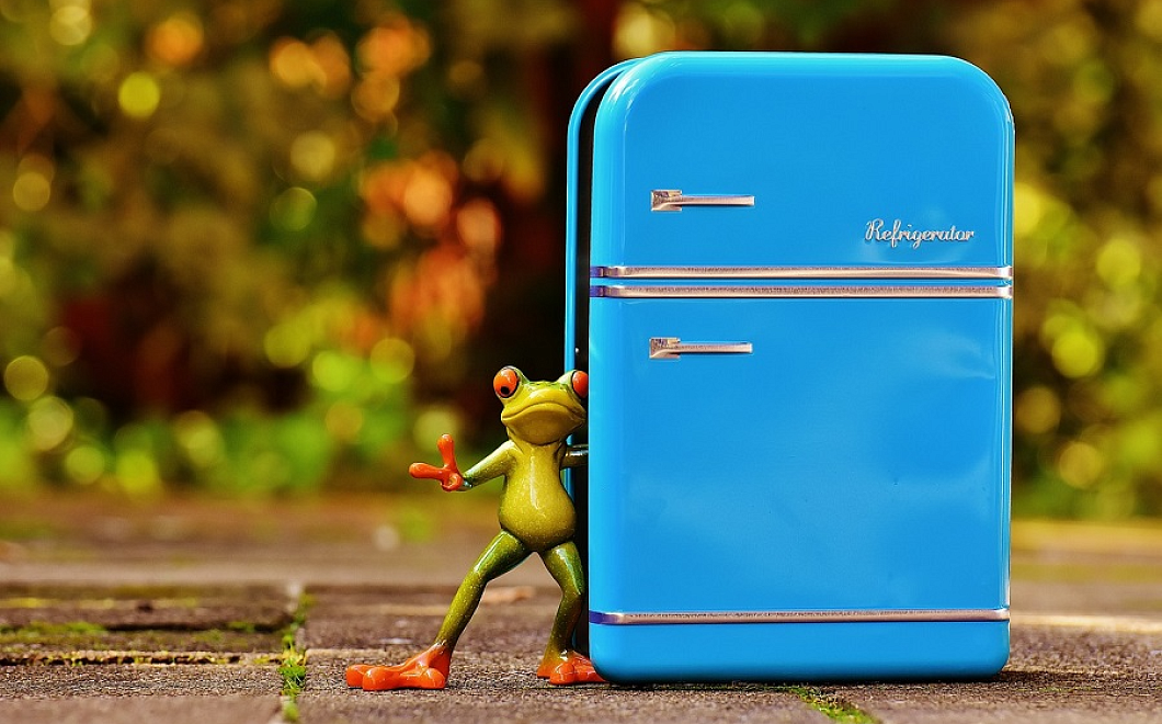 Туфли из морозилки: 7 неожиданных вещей, которые есть смысл хранить в холодильнике