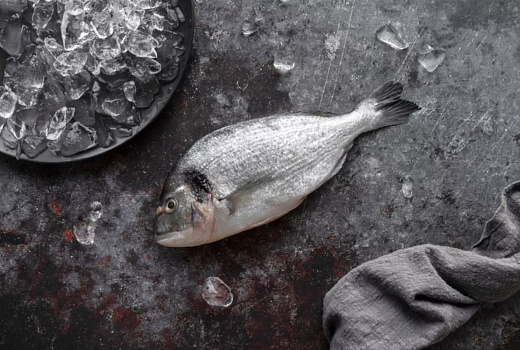 Россия нарастила импорт рыбы из Турции на 21%: форель, сибас и дорада в январе-феврале