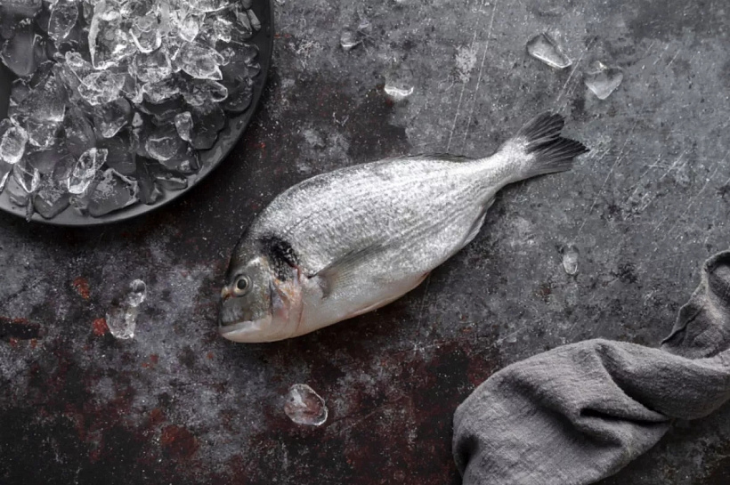 Россия нарастила импорт рыбы из Турции на 21%: форель, сибас и дорада в январе-феврале