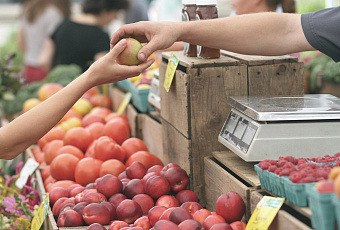 Немного химии на кухне: проверяем качество купленных продуктов