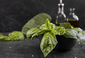 Ароматная специя с лечебной силой: чем полезен орегано